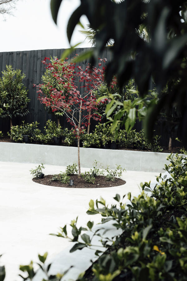 Armadale, Vic House Armadale, Vic House